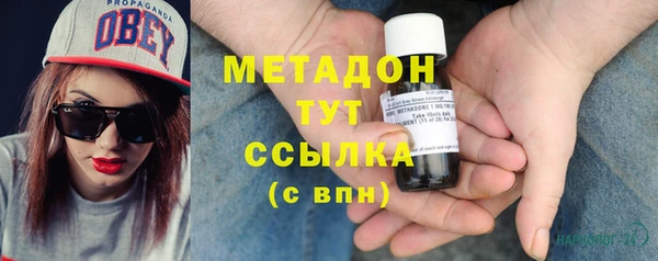 индика Алексин