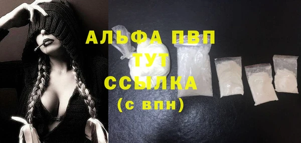 индика Алексин