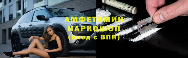индика Алексин
