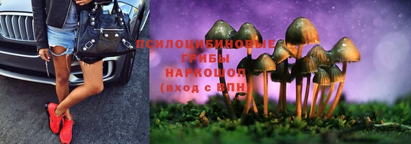 индика Алексин