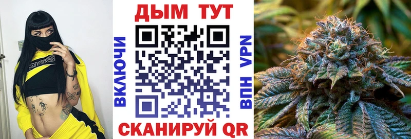 Конопля конопля наркошоп Алзамай